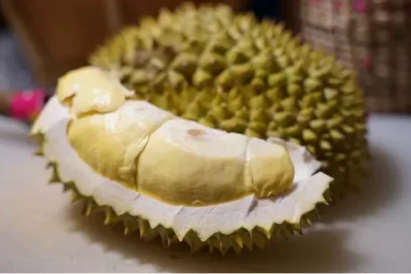 Supattra Land Open fruit buffet today Eat unlimited durian for a price of hundreds!